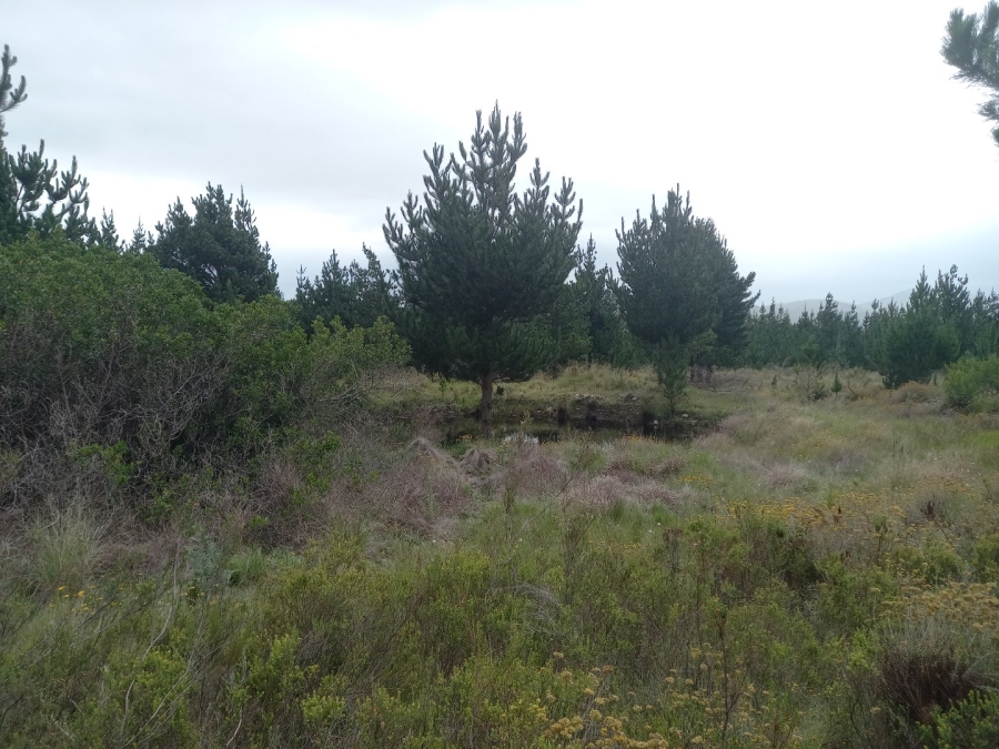  Bedroom Property for Sale in Riversdale Rural Western Cape